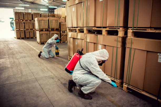 Best Flea Control Services  in Norfolk, VA