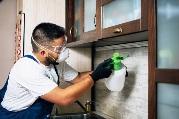 Best Exterminator Services  in Norfolk, VA