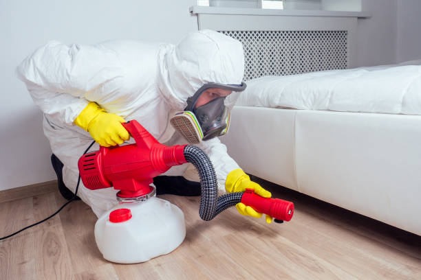 Best Pest Removal Services  in Norfolk, VA