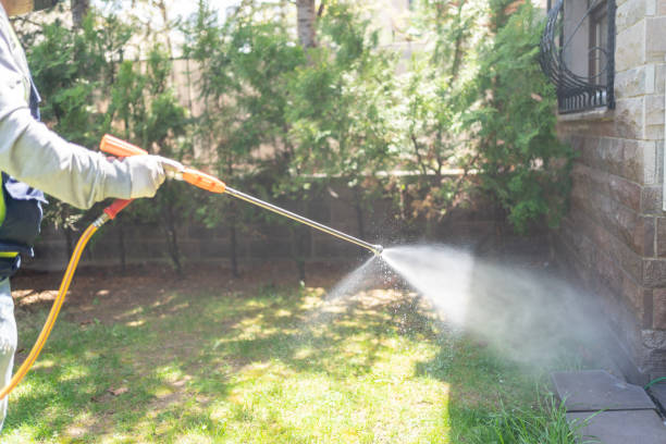 Best Pest Control Near Me  in Norfolk, VA